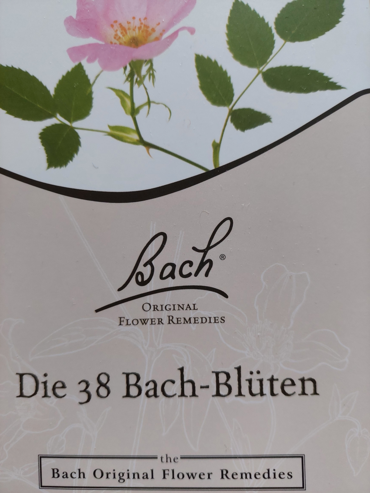 38 BBl Büchlein